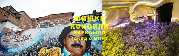 сатива Ветлуга